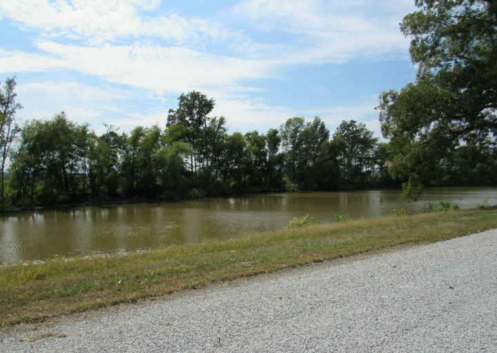 roadside pond